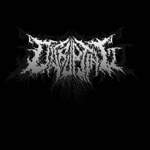 Disrupting : Singles 2016